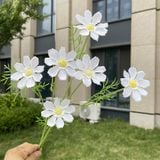 Hoa lụa cúc Cosmos 6b - HOG0055