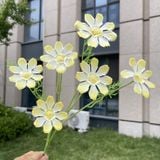 Hoa lụa cúc Cosmos 6b - HOG0055
