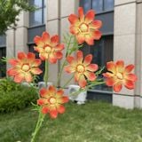 Hoa lụa cúc Cosmos 6b - HOG0055