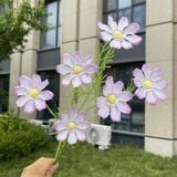 Hoa lụa cúc Cosmos 6b - HOG0055
