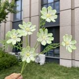 Hoa lụa cúc Cosmos 6b - HOG0055