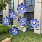 Hoa lụa cúc Cosmos 6b - HOG0055