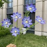 Hoa lụa cúc Cosmos 6b - HOG0055