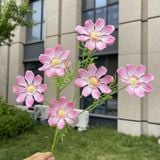 Hoa lụa cúc Cosmos 6b - HOG0055