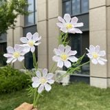 Hoa lụa cúc Cosmos 6b - HOG0055