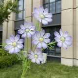Hoa lụa cúc Cosmos 6b - HOG0055