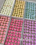 Hoa sáp Hồng tỷ muội - HHS0025