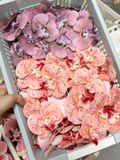 Gói 10 bông Lan hồ điệp cao su - HOG0067