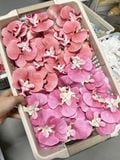 Gói 10 bông Lan hồ điệp cao su - HOG0067