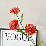 Hoa lụa Sca cánh răng cưa 3b- HOG0064