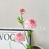 Hoa lụa Sca cánh răng cưa 3b- HOG0064