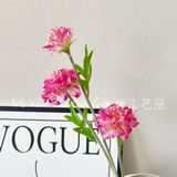 Hoa lụa Sca cánh răng cưa 3b- HOG0064