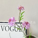 Hoa lụa Sca cánh răng cưa 3b- HOG0064