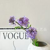 Hoa lụa Sca cánh răng cưa 3b- HOG0064