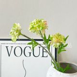 Hoa lụa Sca cánh răng cưa 3b- HOG0064