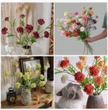 Hoa lụa Sca cánh răng cưa 3b- HOG0064