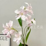 Hoa Ban lụa cành 6b - HOG0065