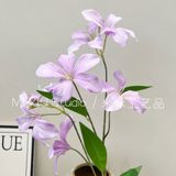 Hoa Ban lụa cành 6b - HOG0065