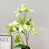 Hoa Ban lụa cành 6b - HOG0065