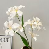 Hoa Ban lụa cành 6b - HOG0065
