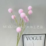 Cành Bồ công anh 9b - HOG0066
