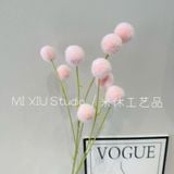 Cành Bồ công anh 9b - HOG0066