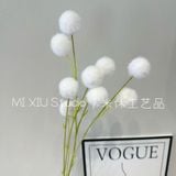 Cành Bồ công anh 9b - HOG0066