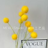 Cành Bồ công anh 9b - HOG0066