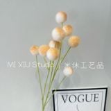 Cành Bồ công anh 9b - HOG0066