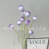 Cành Bồ công anh 9b - HOG0066