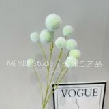Cành Bồ công anh 9b - HOG0066