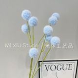 Cành Bồ công anh 9b - HOG0066