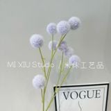 Cành Bồ công anh 9b - HOG0066
