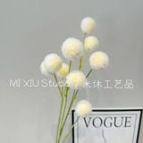 Cành Bồ công anh 9b - HOG0066