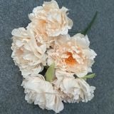Cụm hoa lụa Mẫu đơn 5b - HOG0073