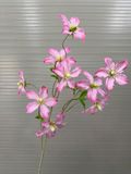 Hoa lụa Lan lửa - HOG0032