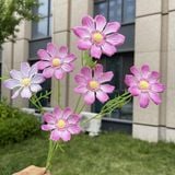 Hoa lụa cúc Cosmos 6b - HOG0055