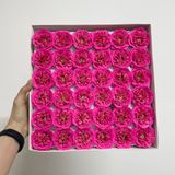 Hoa hồng sáp Sophia - HHS0023