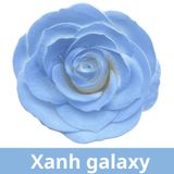 SƠN XỊT MÀU CHO HOA TƯƠI - PKK0045