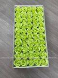HOA SÁP THƯỜNG 3 LỚP (1 hộp 50 bông) - HHS0002