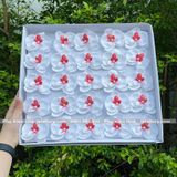 Hoa sáp lan hồ điệp (Hộp 25 bông) ảnh shop tự chụp - HHS0009