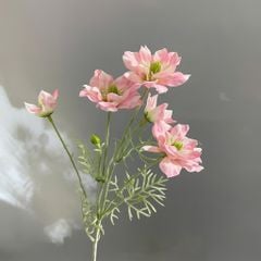 Hoa lụa Nigella 5b - HOG0029