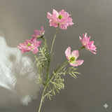 Hoa lụa Nigella 5b - HOG0029