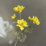 Hoa lụa Nigella 5b - HOG0029