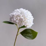 Hoa lụa Cẩm tú cầu in 3D - HOG0033