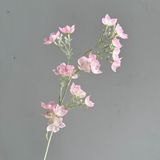 Hoa lụa Sao chuông - HOG0034