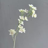 Hoa lụa Sao chuông - HOG0034