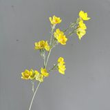 Hoa lụa Sao chuông - HOG0034
