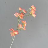 Hoa lụa Sao chuông - HOG0034