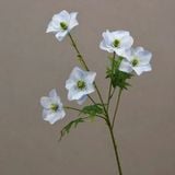 Hoa lụa Hải quỳ cánh nhọn 5b - HOG0048